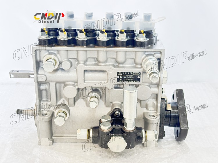 CNDIP Diesel Fuel Common Rail Injection Pump 1000161361 for Diesel Engine